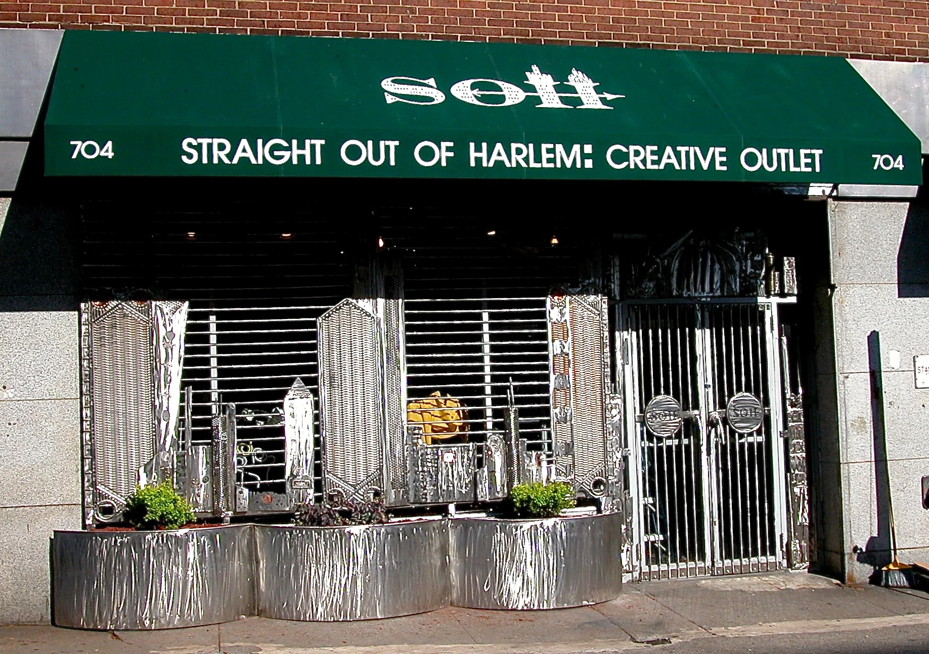 STORE FRONT SECURITY GATE