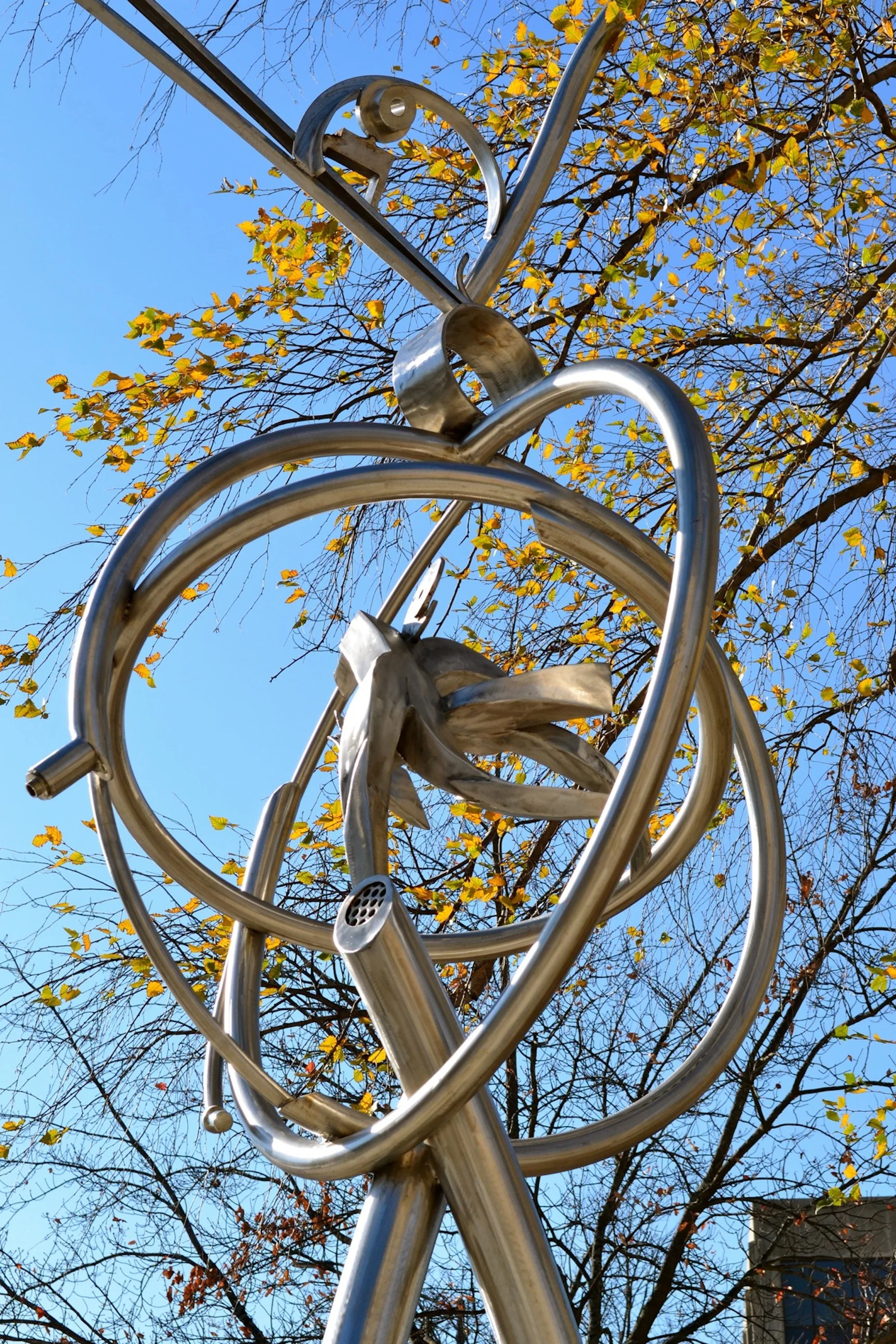 “Cycles of Love”