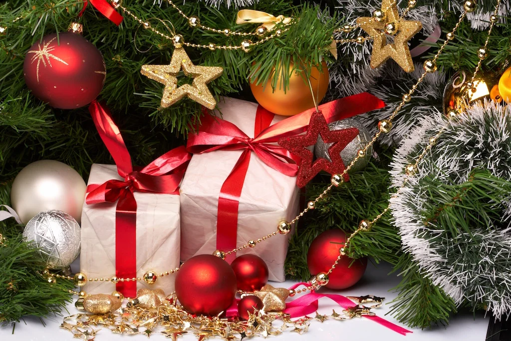 Holiday Gift Guide