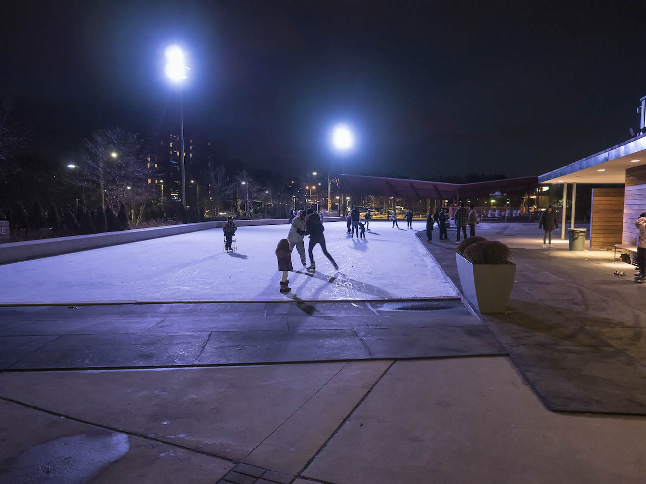 Shot outdoors under horrible light. Still looks darn good at ISO 3200