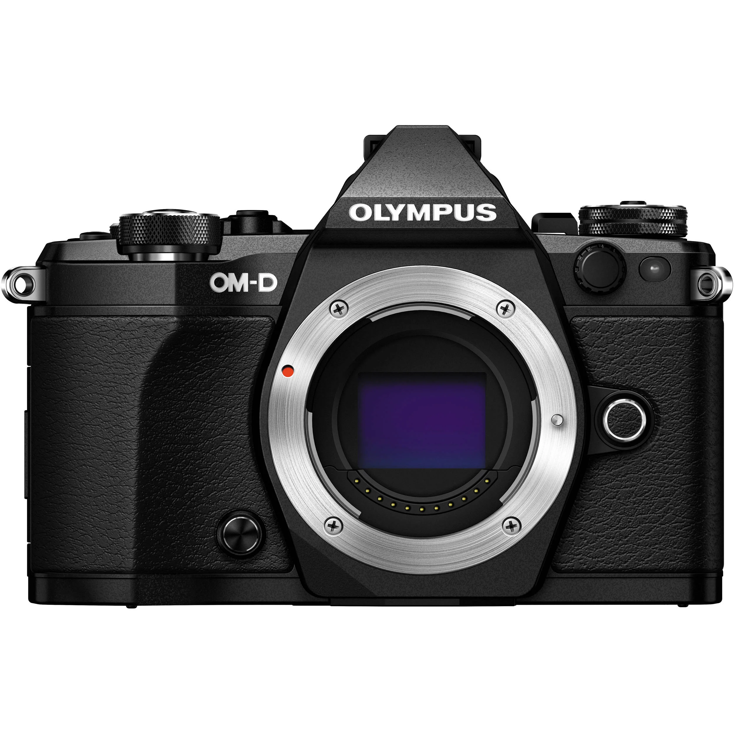REVIEW : The Olympus OM-D E-M5 Mark II - Power in your Hands