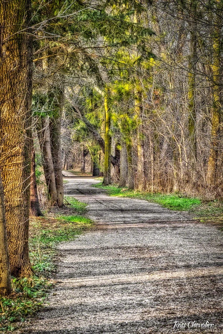 Looking down the walking trail at Rogers' Reservoir. Shot on the D4s at about 270mm from a tripod and processed in Aurora HDR Professional from a 3 image merge
