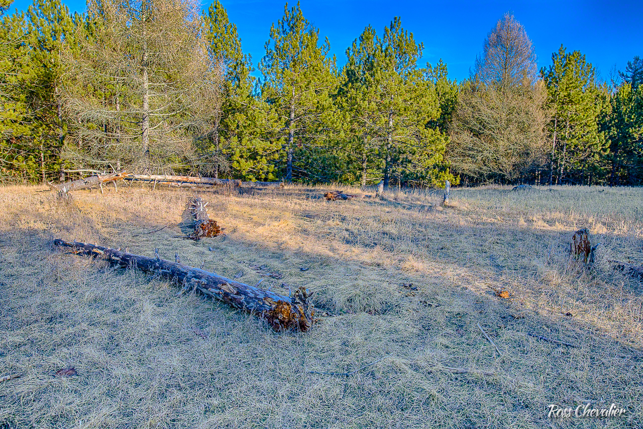 Another HDR image, again from a three shot bracket to reveal the shadow detail in the grasses. Exposure was at f/5.6 and ISO 100 for a three stop bracket handheld. At f/5.6 and with the focus point on the leading edge of the log, pretty much everything is in focus due to the rich depth of field.