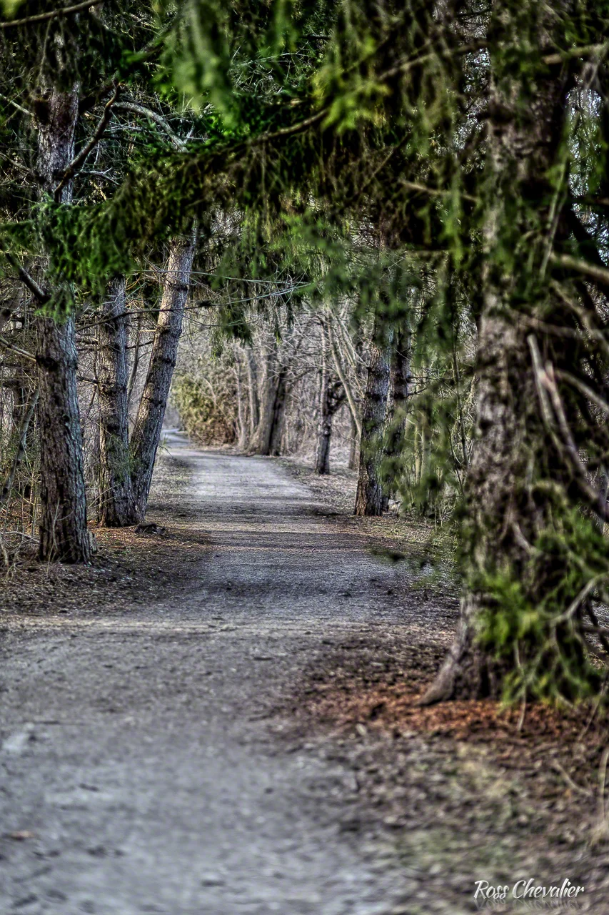 Creative use of depth of field drives the viewer's eye. Yet another reason why a large maximum aperture can be really handy