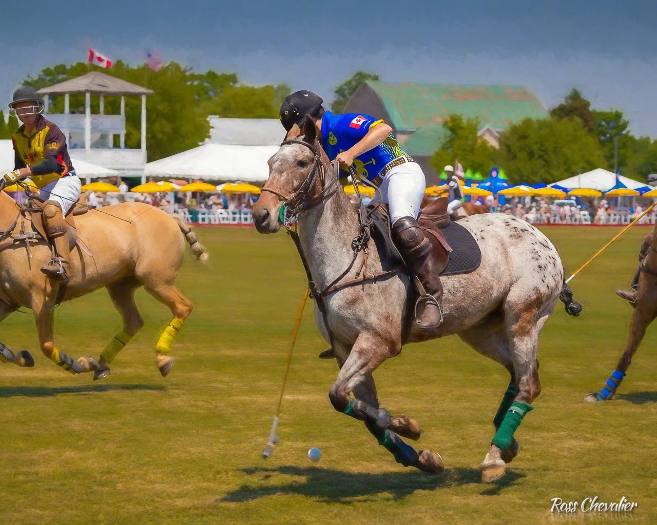 Polo for Heart 2016 - post processed with Topaz Impression 2