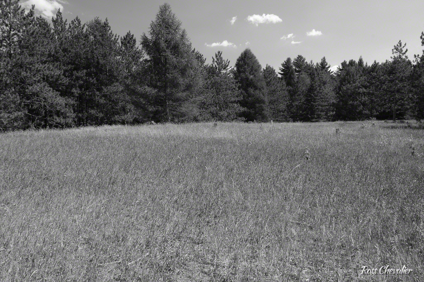 ACROS
