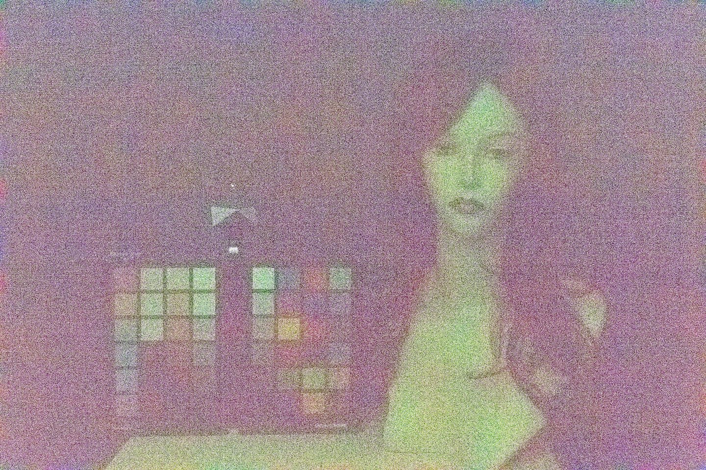 ISO3276800.jpg