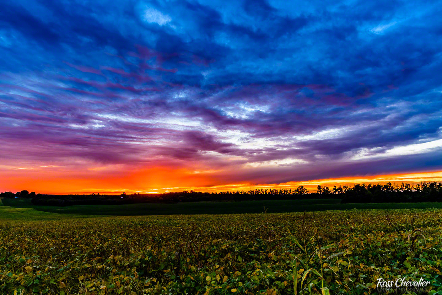 Sunset Over Fields