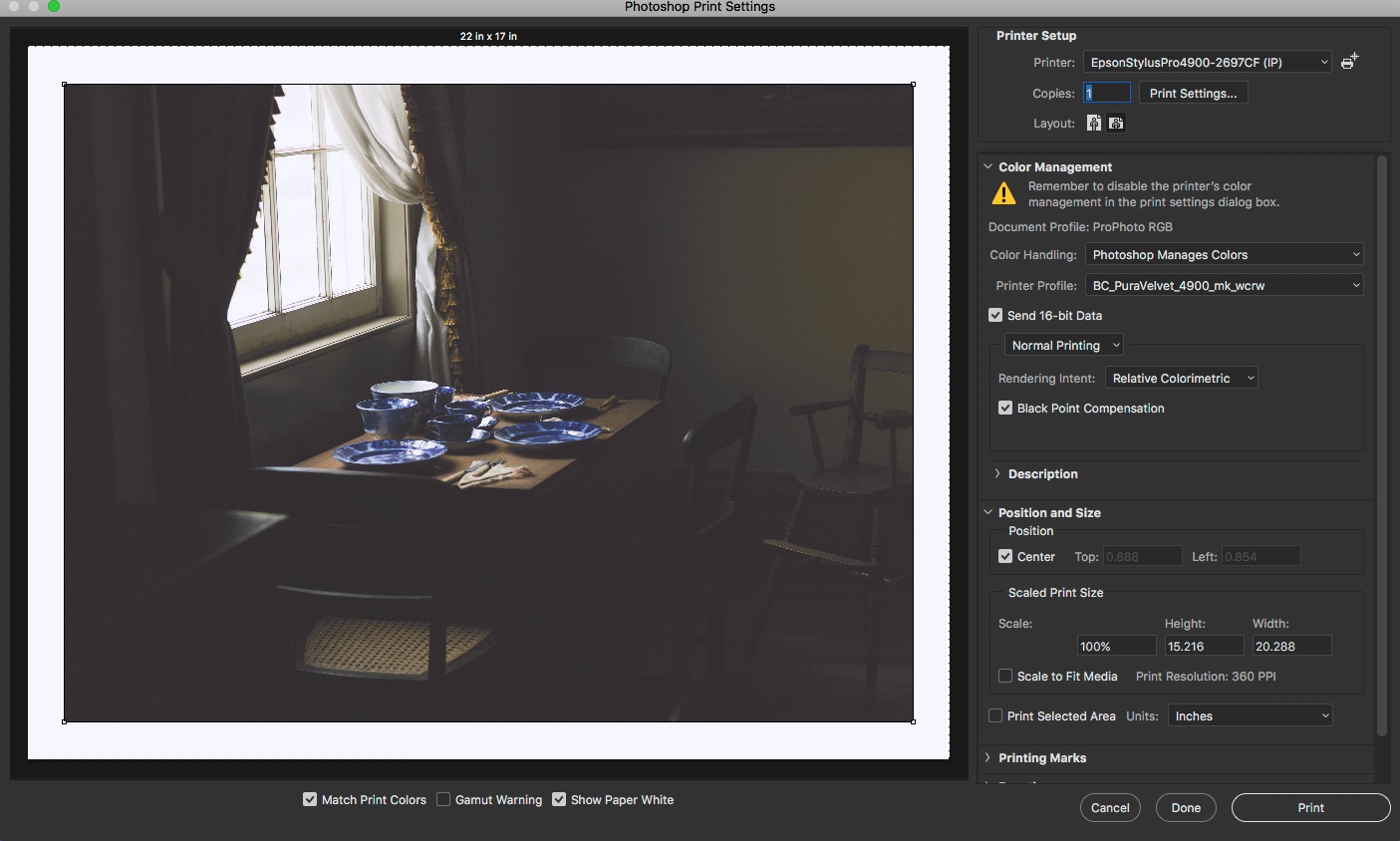 This is the photoshop print settings dialog. Note no specifications of dpI anywhere. Only the output size, in this case the native size from the iamge size dialog and the paper size, in this case 17x22. The printer is not doing any colour correction or adjustment, I am seeing a soft proof for the paper, in this case breathing colour pura velvet