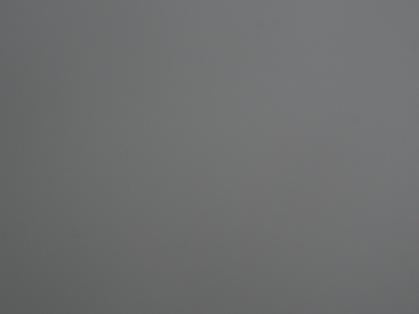 Spot metered exposure off a black card