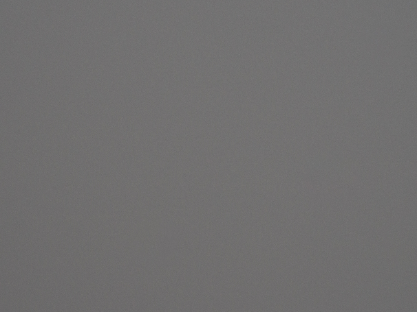 Spot metered exposure off a white card
