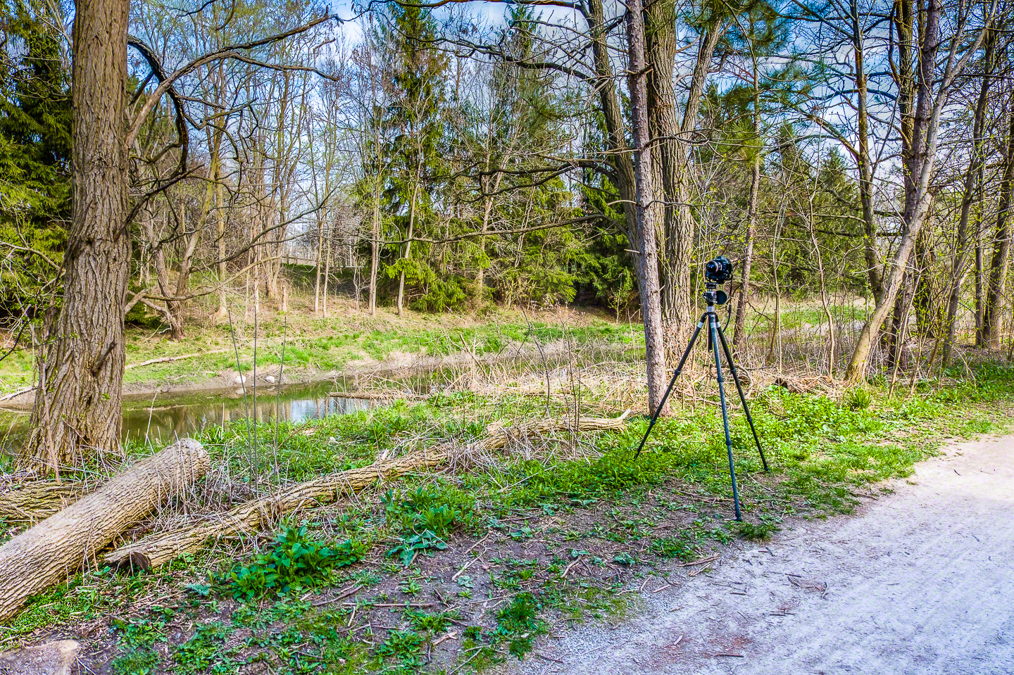 Rich colour and strong dynamic range are to found in the X-T20