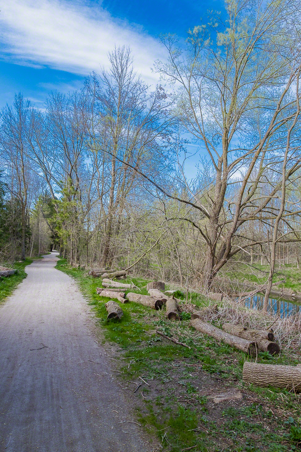 It took some post processing to pull the blue out of the sky, but the sensor dynamic range made it quite easy. Lens image quality into the corners at 16mm is very high