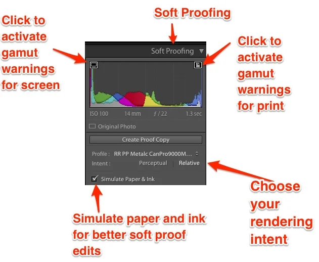 Here you can see your options in the Soft Proofing dialog. The Profile section specifies the paper or lab ICC profile to use. Using the wrong one is going to deliver unknown results.