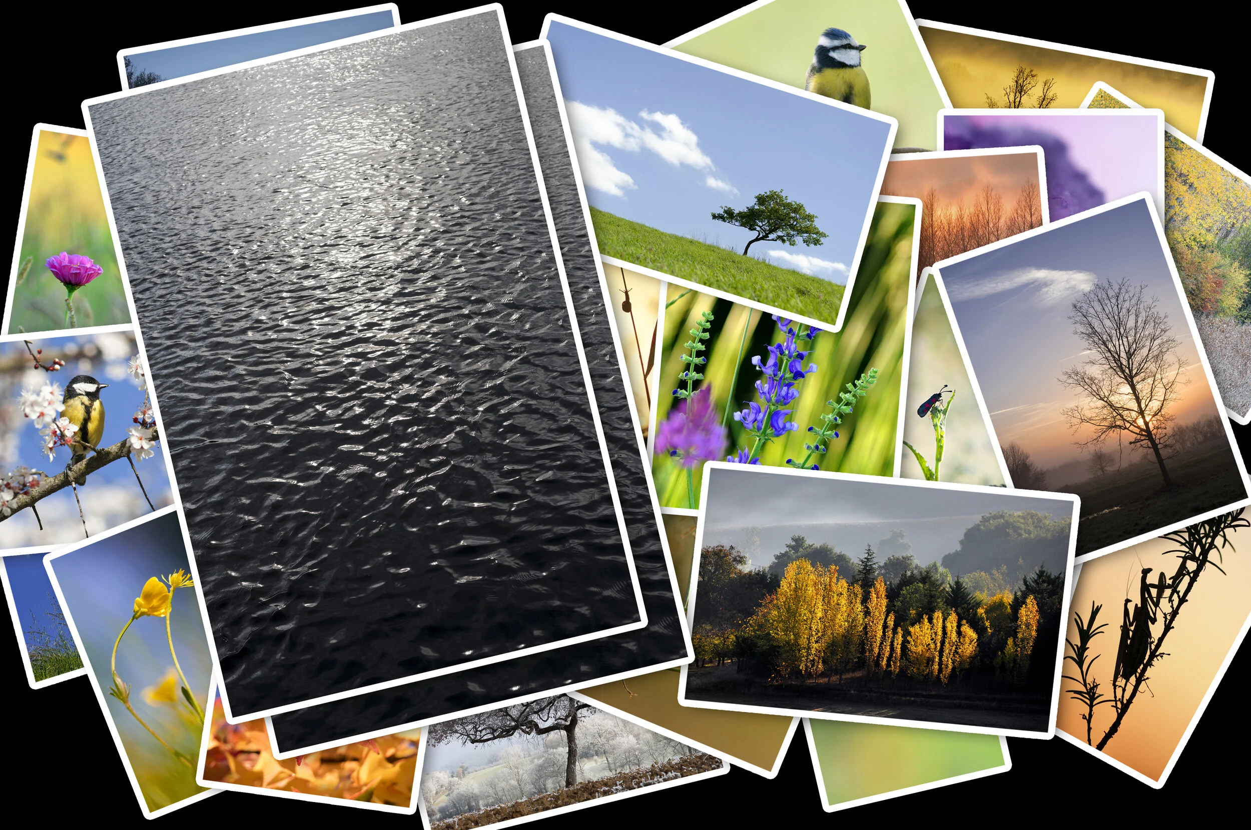 Two Distinct Editing Outcomes