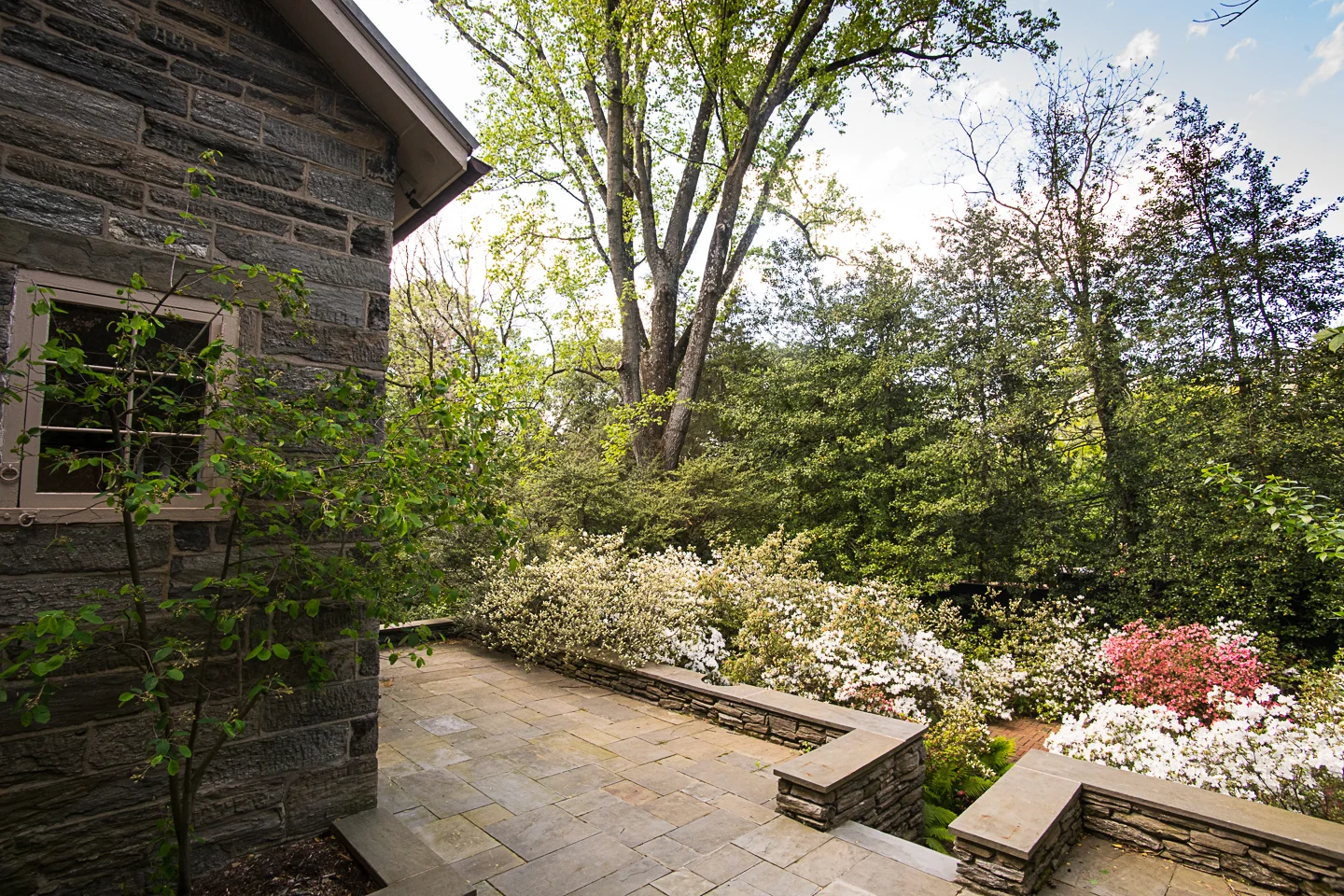 8847Norwood_15.jpg