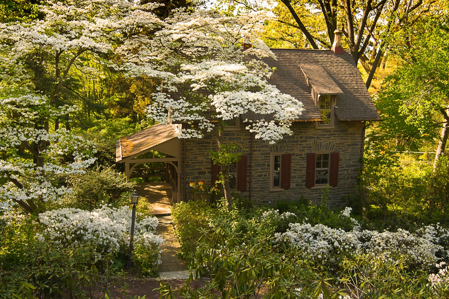 8847Norwood_27.jpg