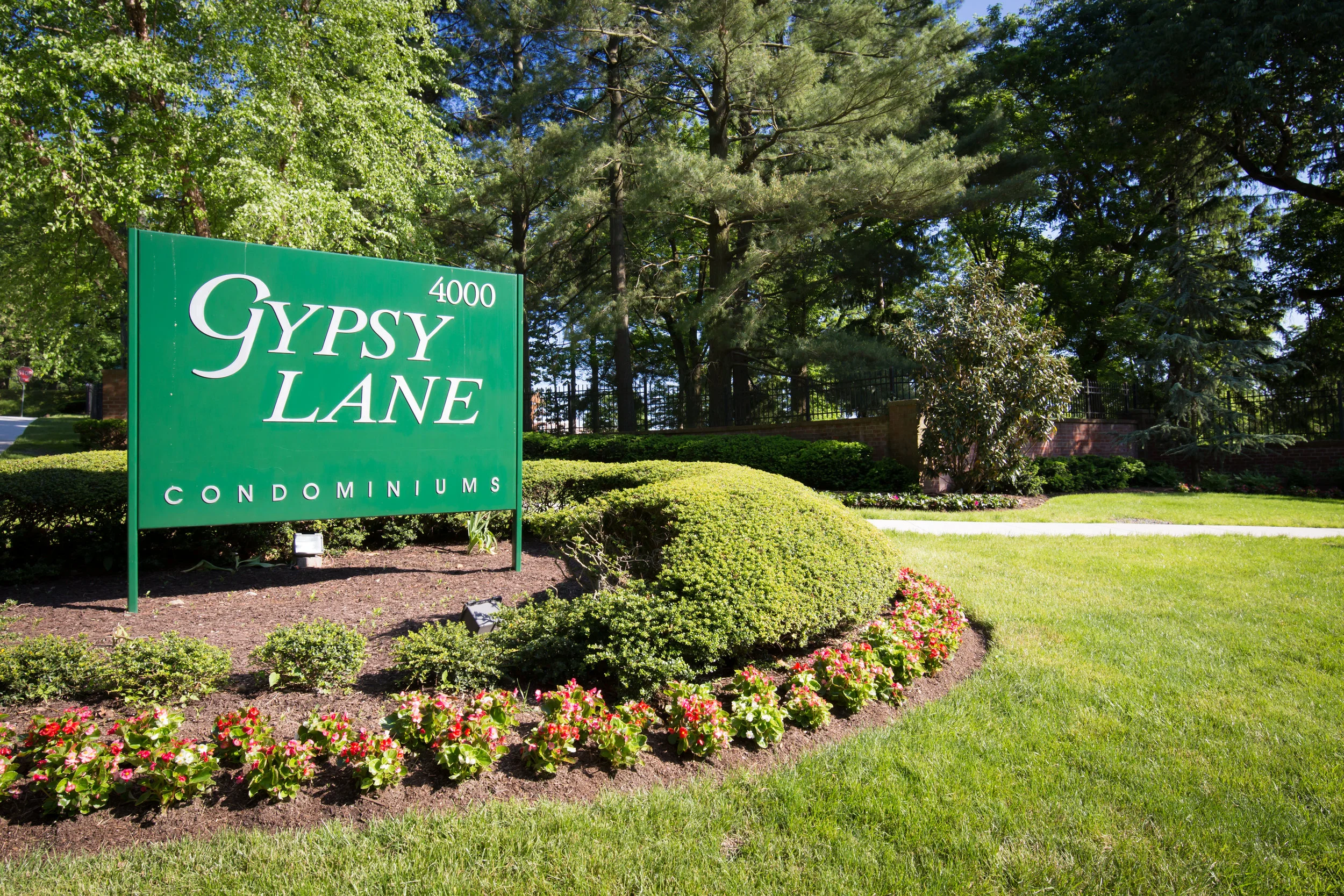 Kate_Devlin_2018__4000_Gypsy_Lane_315_LSQ-2.jpg