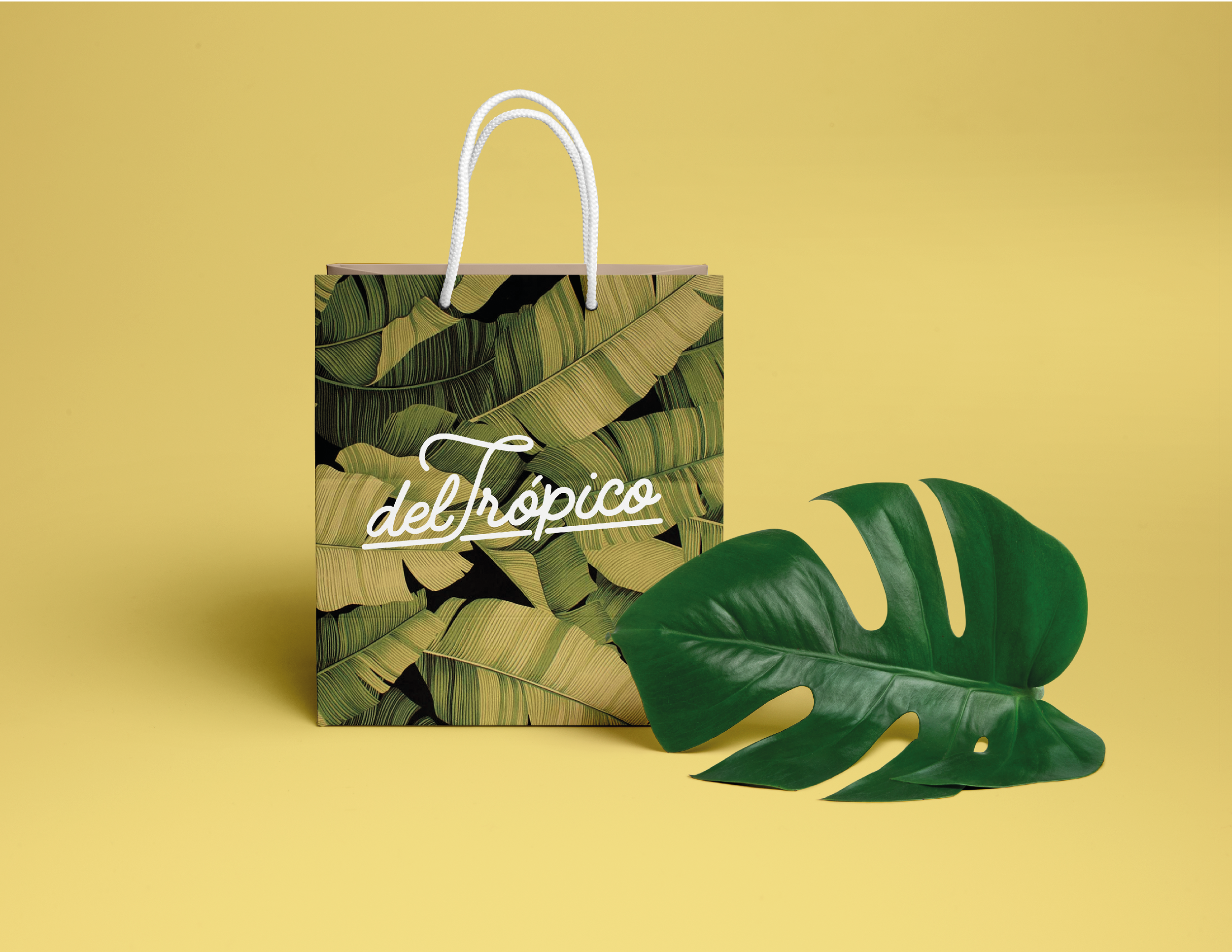 Entrega propuesta frutas-12.png