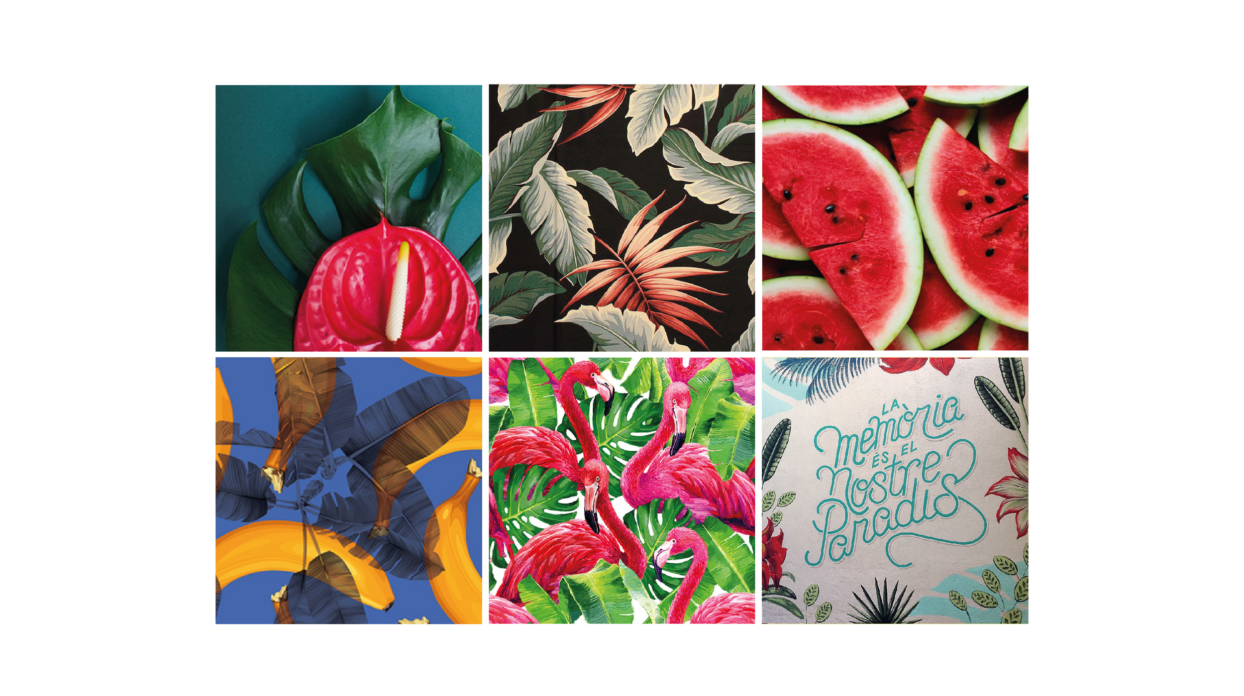    
  
 
 96 
  
    
  
 Normal 
 0 
 
 
 21 
 
 
 false 
 false 
 false 
 
 ES-TRAD 
 X-NONE 
 X-NONE 
 
  
  
  
  
  
  
  
  
  
 
 
  
  
  
  
  
  
  
  
  
  
  
  
    
  
 
 
 
 
 
 
 
 
 
 
 
 
 
 
 
 
 
 
 
 
 
 
 
 
 
 
 
 
 
 
 
 
 
 
