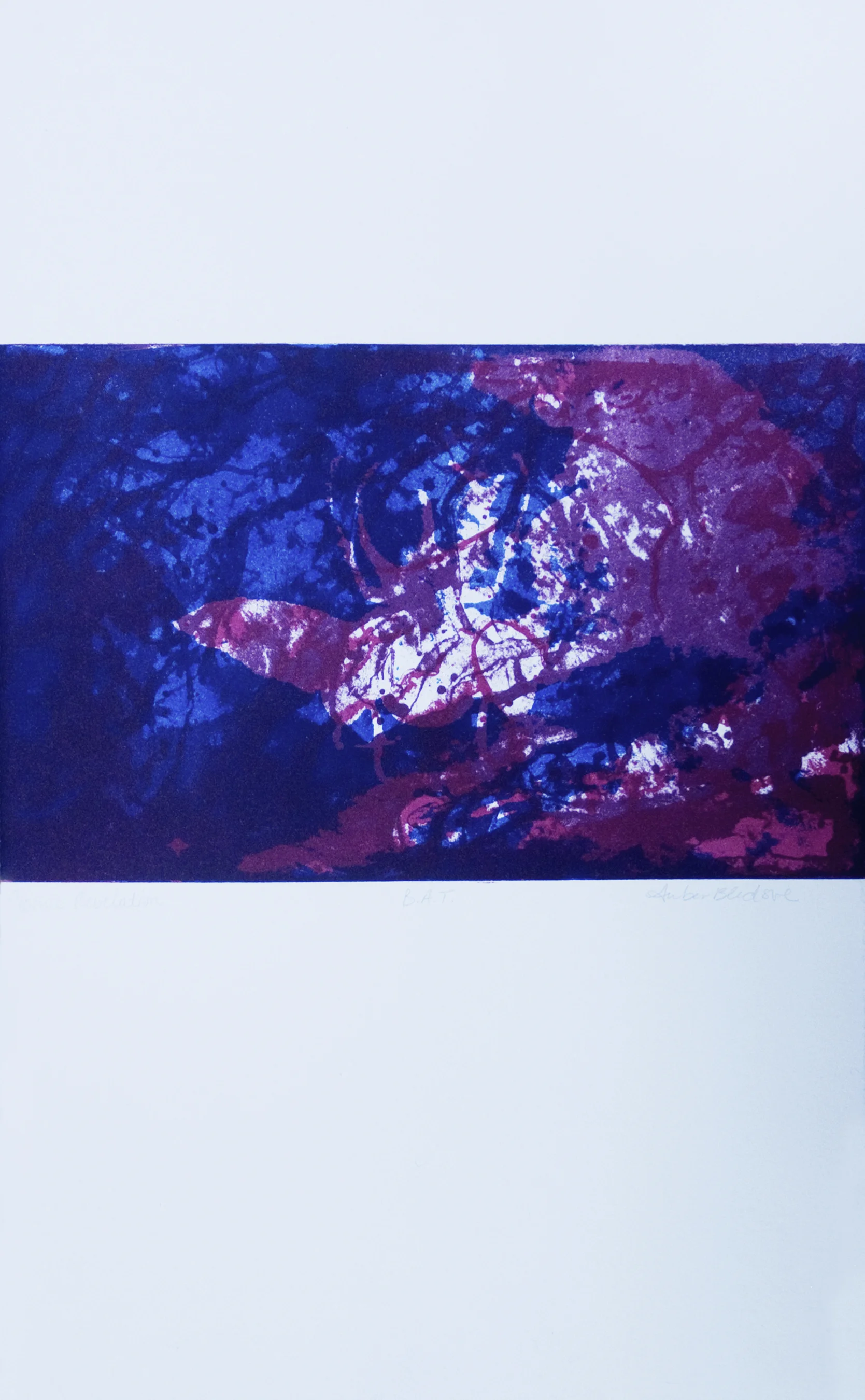 9AmberBledsoe_CosmicRevelation_16%22x9.75%22_lithograph.jpg
