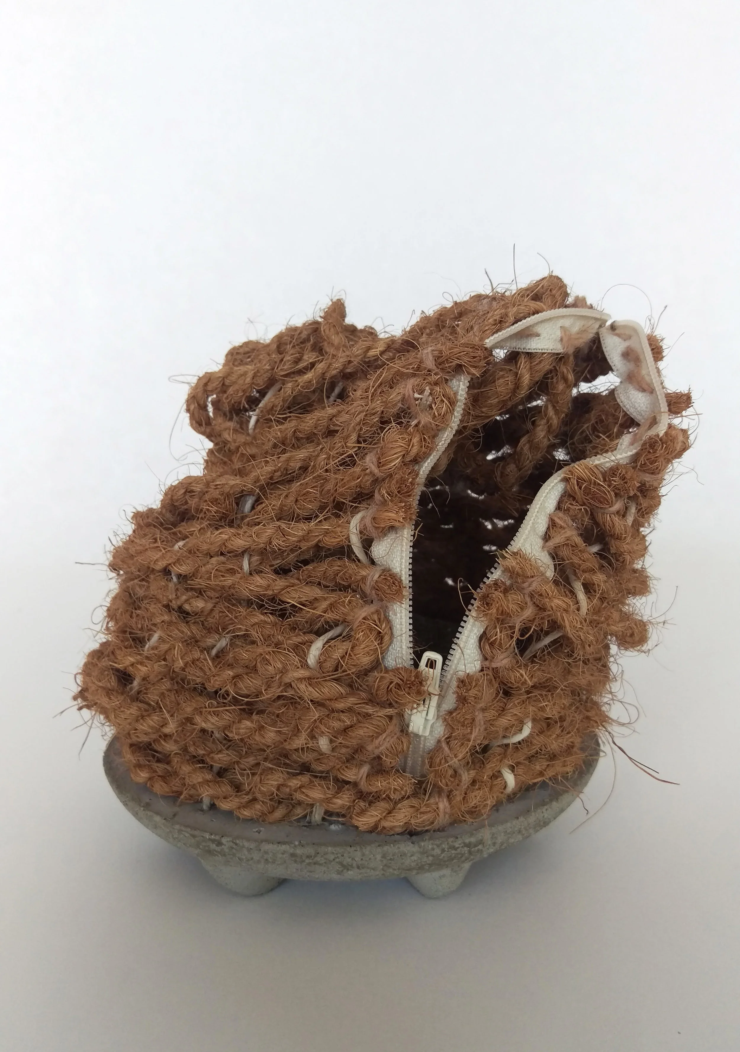 coconut2.jpg