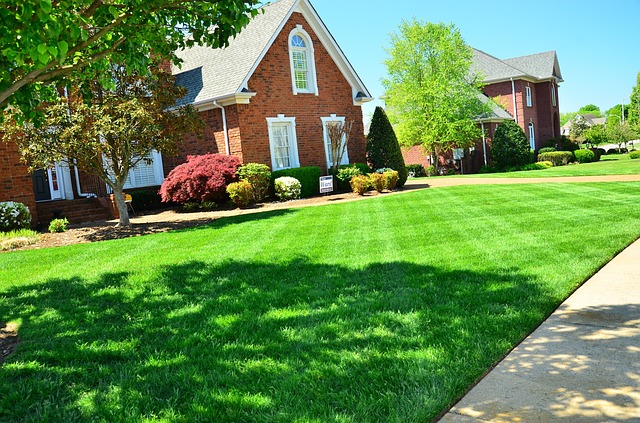 lawn-care-643561_640.jpg