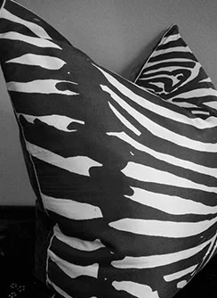blackNwhite.jpg