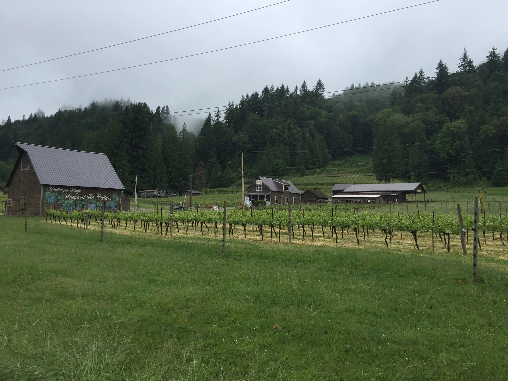 Cascadian Countryside