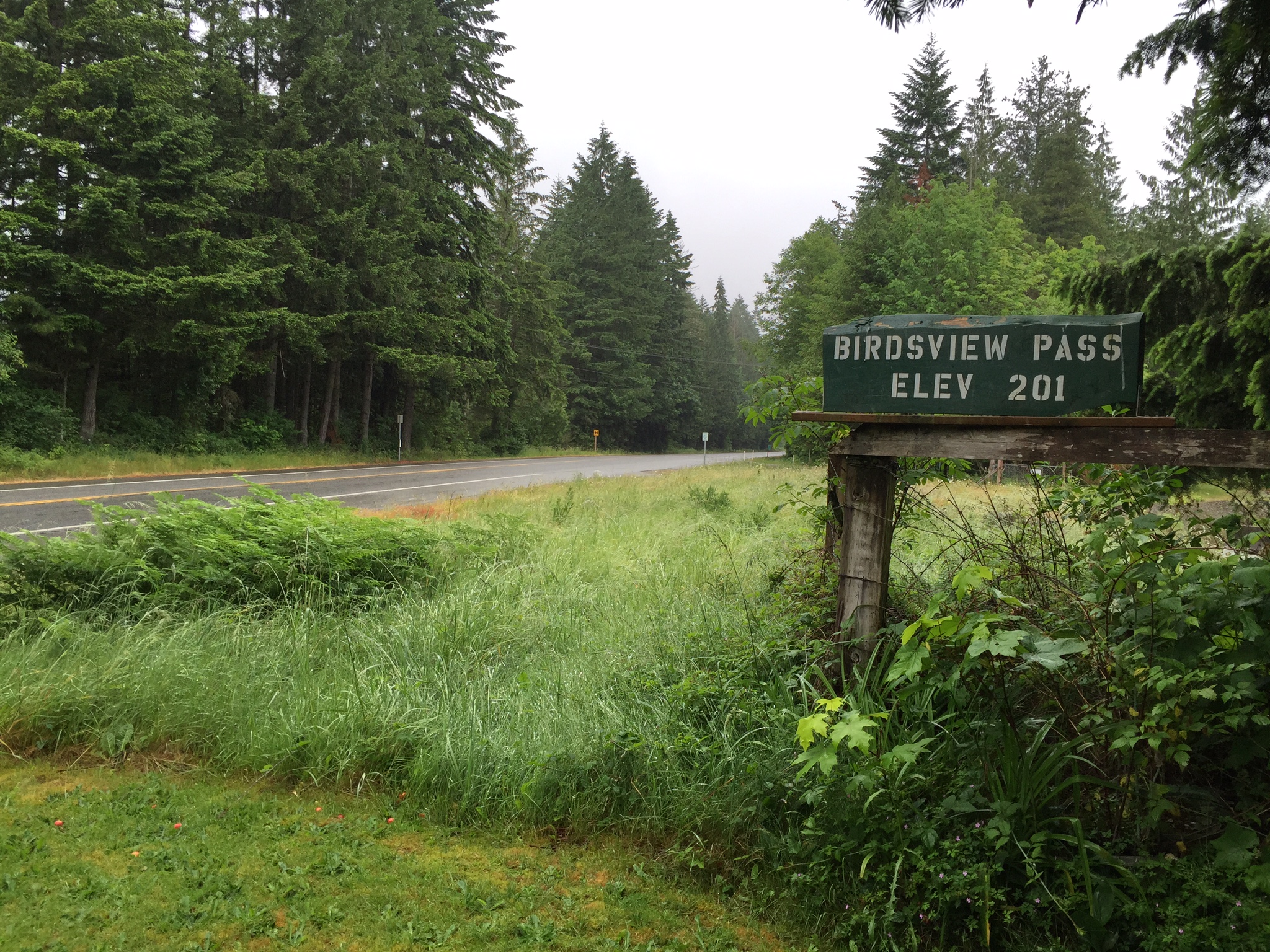 Birdsview Pass