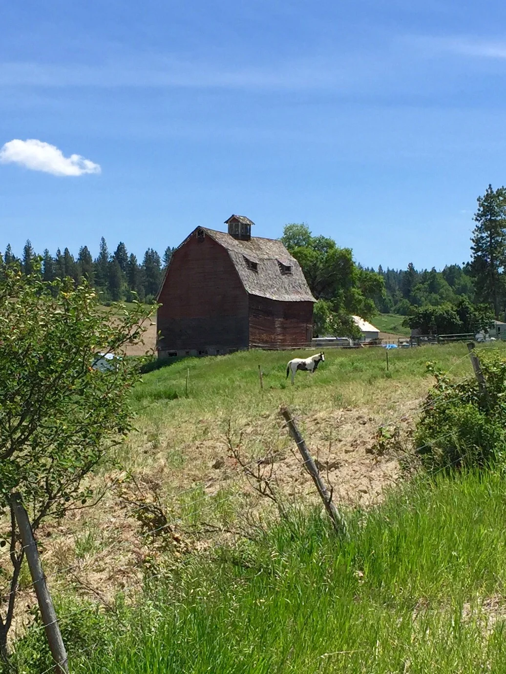 Farm Country "Shortcut"