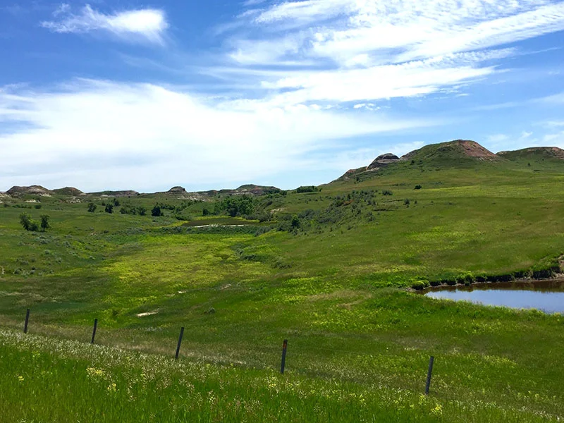 The National Grasslands
