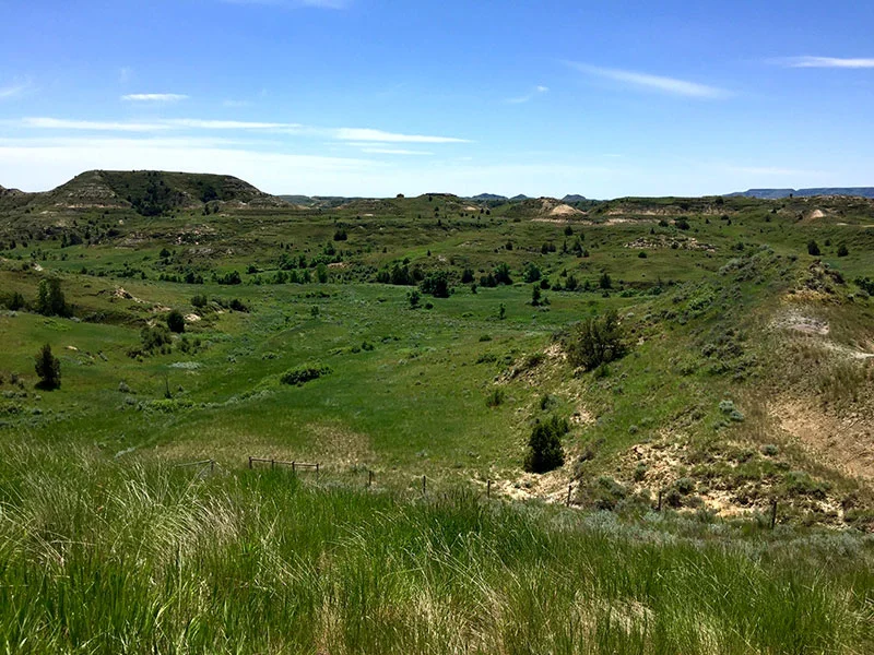 The National Grasslands