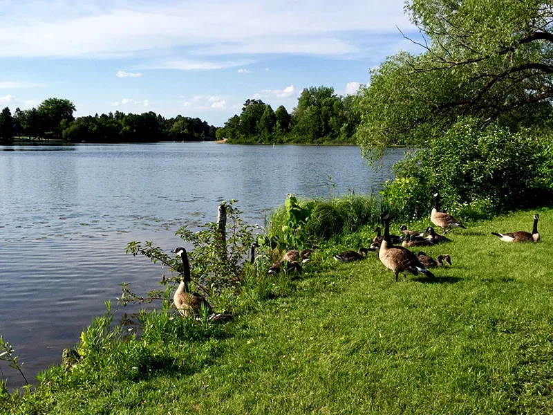Park Rapids Lake