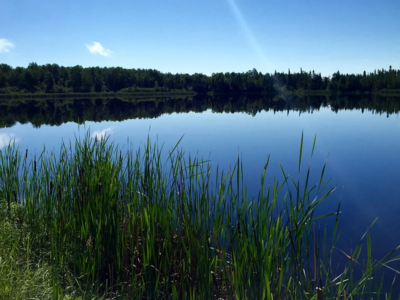 Northern Minnesota