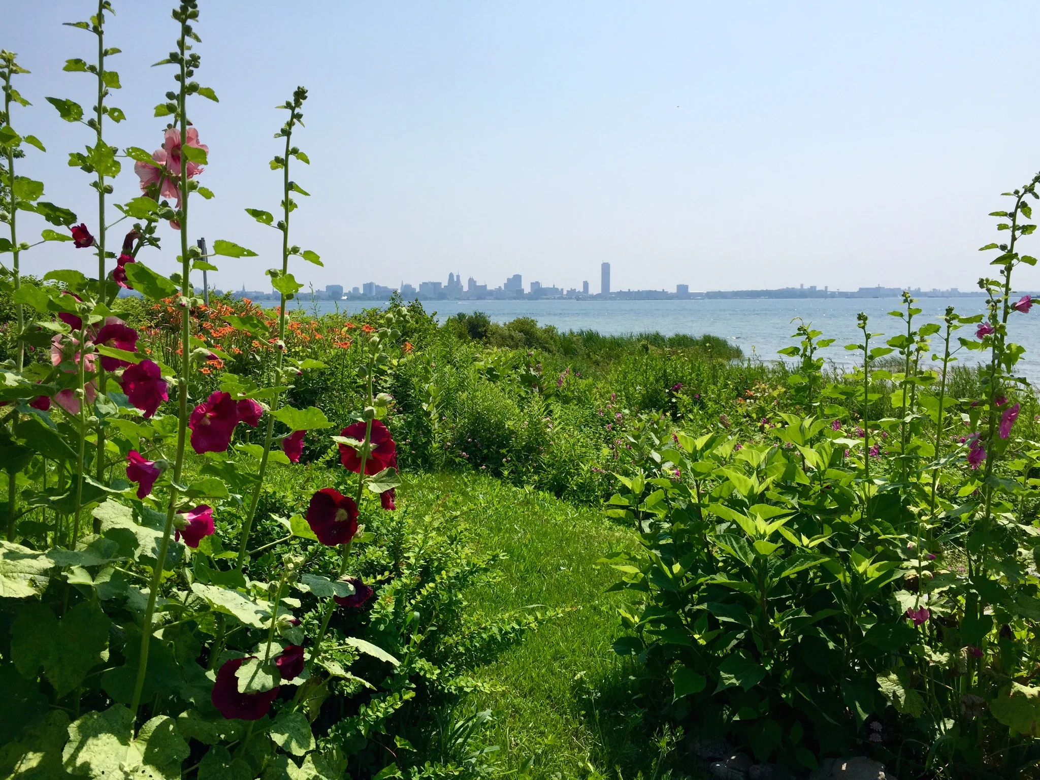 Niagara River