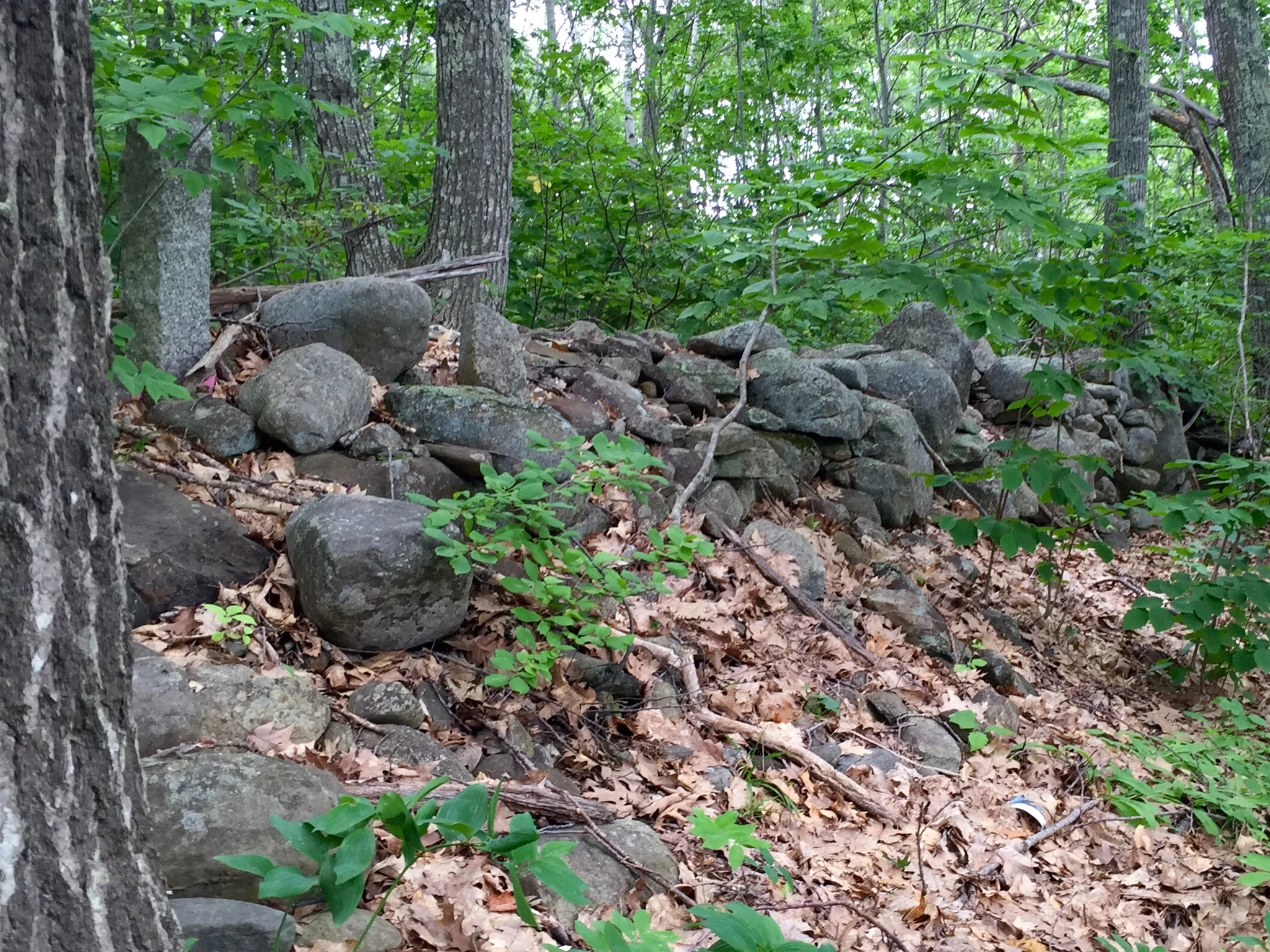 old stone wall near Townhouse Corner, Maine