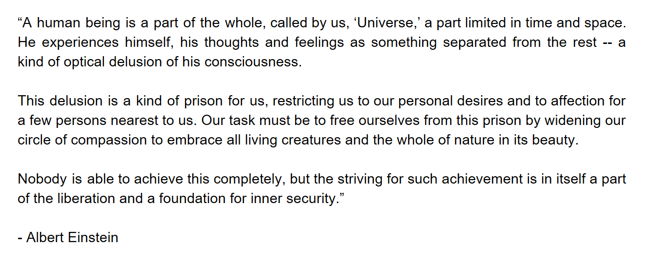 Optical Delusion Quote