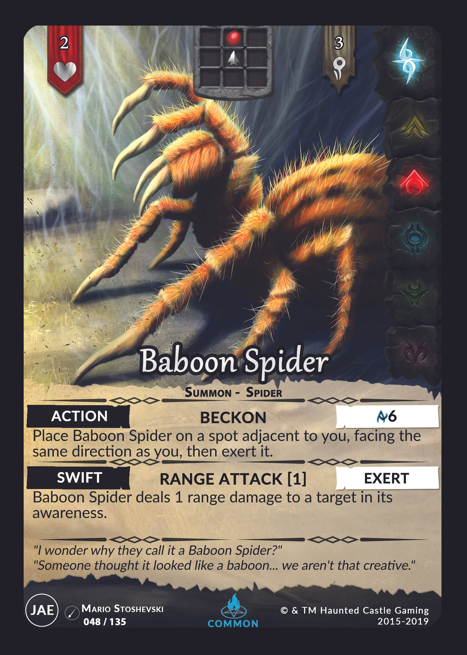 048-Baboon Spider.jpg