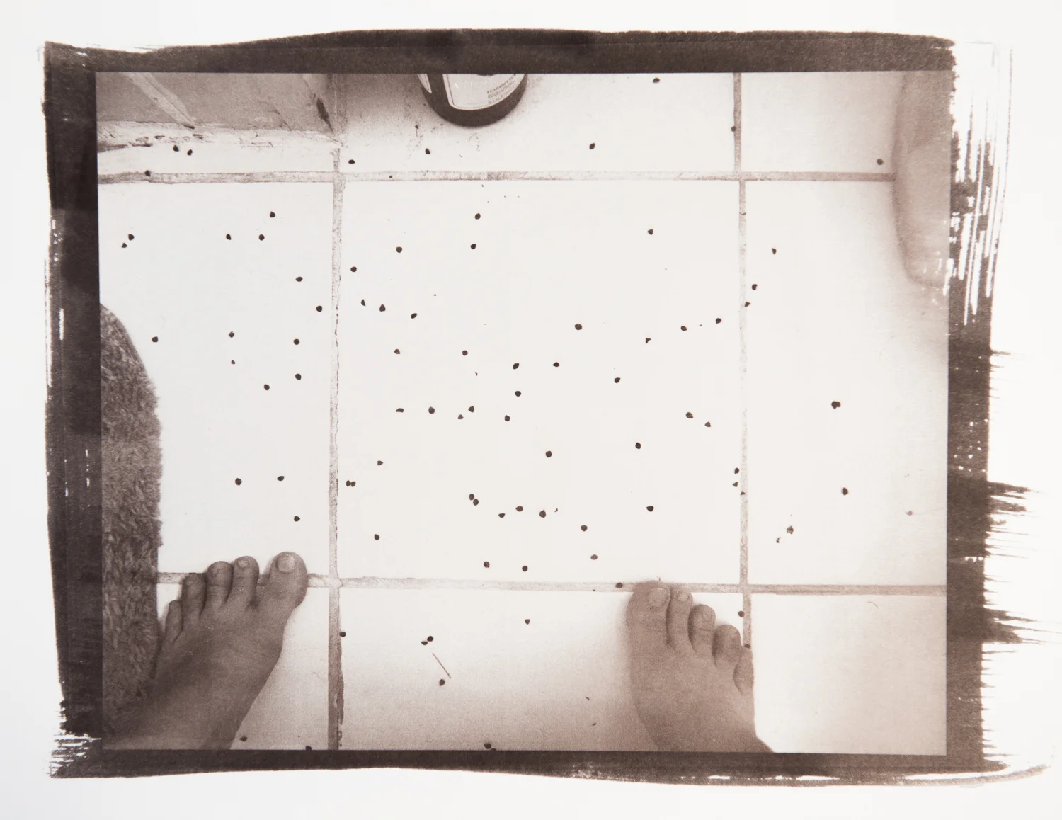 Seeds on the bathroom floor