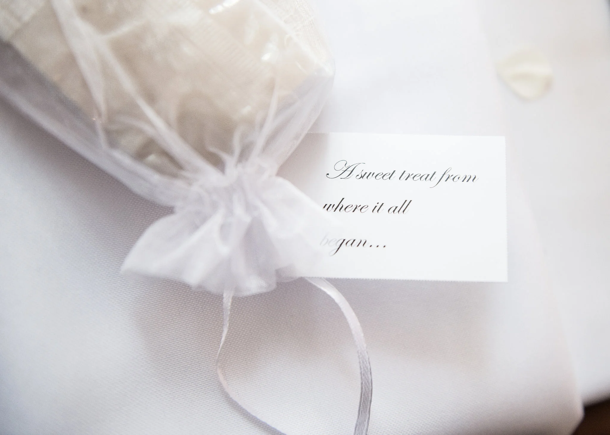I would be honored to help document an important moment for you. Being with people for life's celebrations truly makes me smile, and clients often thank me for the genuine warmth and enthusiasm I express while photographing. I let ideas develop organically through conversation and play, so portraits are a collaboration between me, you, and the present moment. I offer finished digital files, prints, and albums at reasonable prices. Fill out the contact form to get started with a quote.