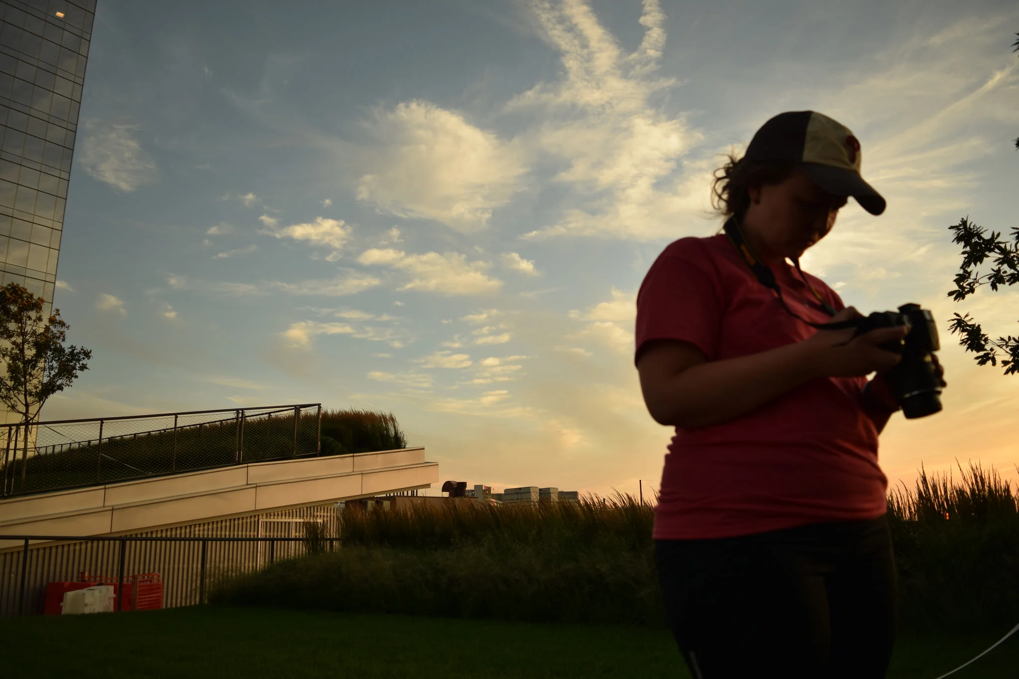 Emily Briggs, Summer 2016