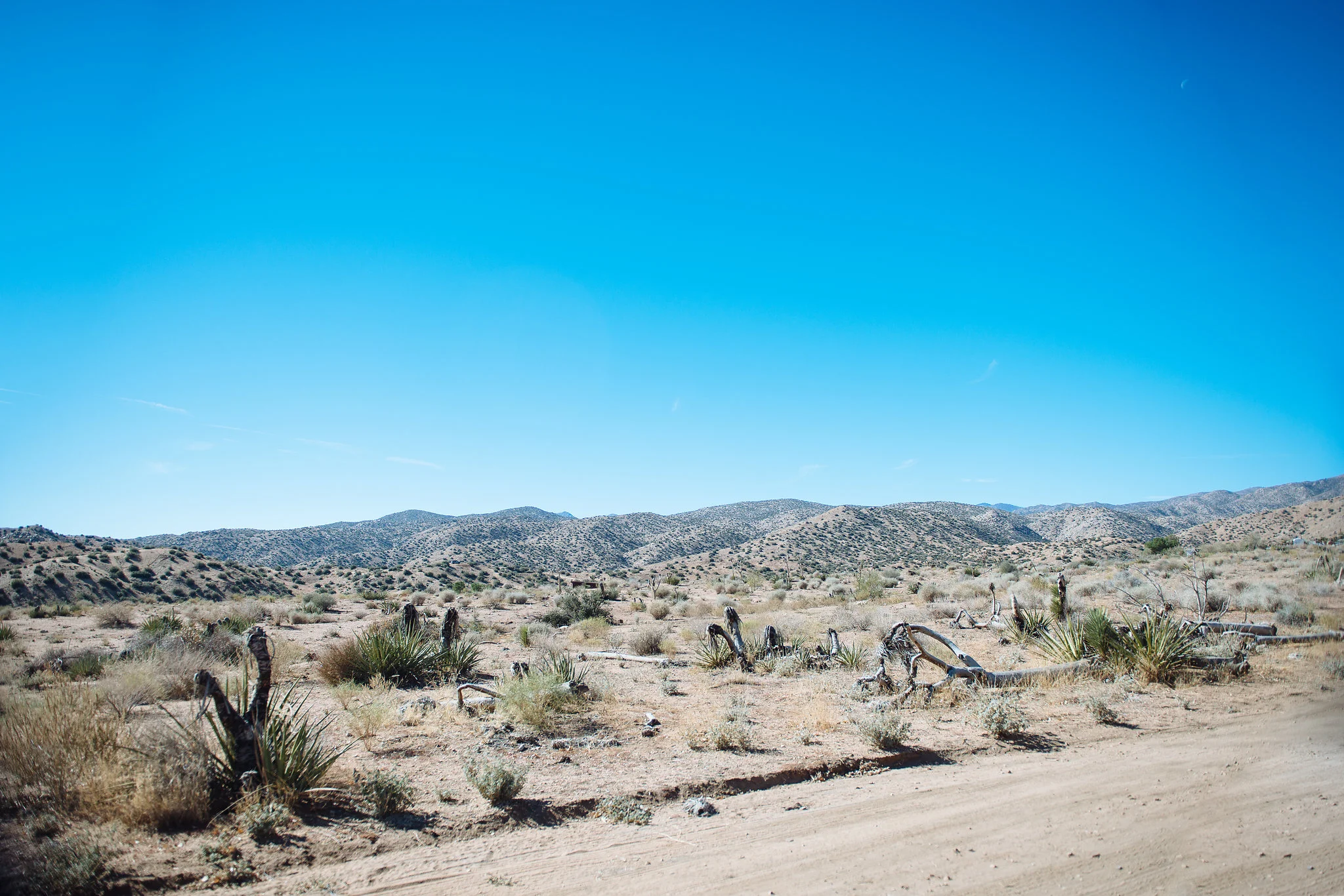 The edge of the ranch.