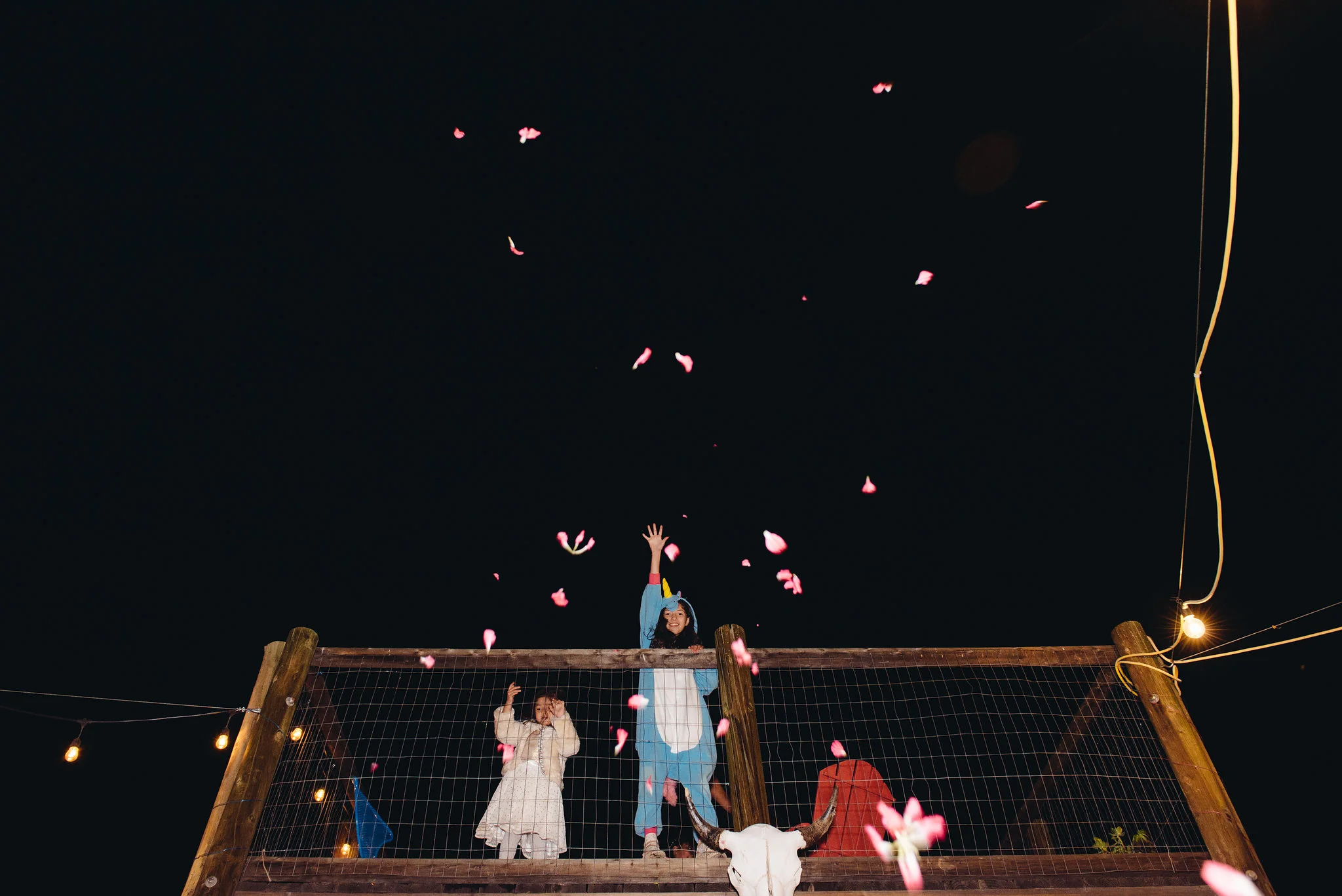 Rose petals from the sky were mysteriously fluttering down to the dance floor.