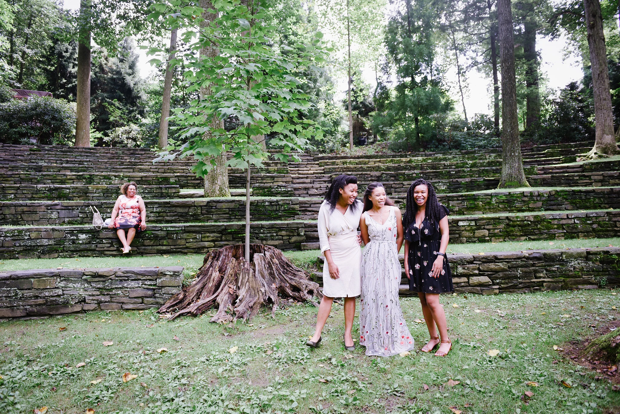 Between these three sisters and their mom sits a sapling growing inside the trunk of a older tree.