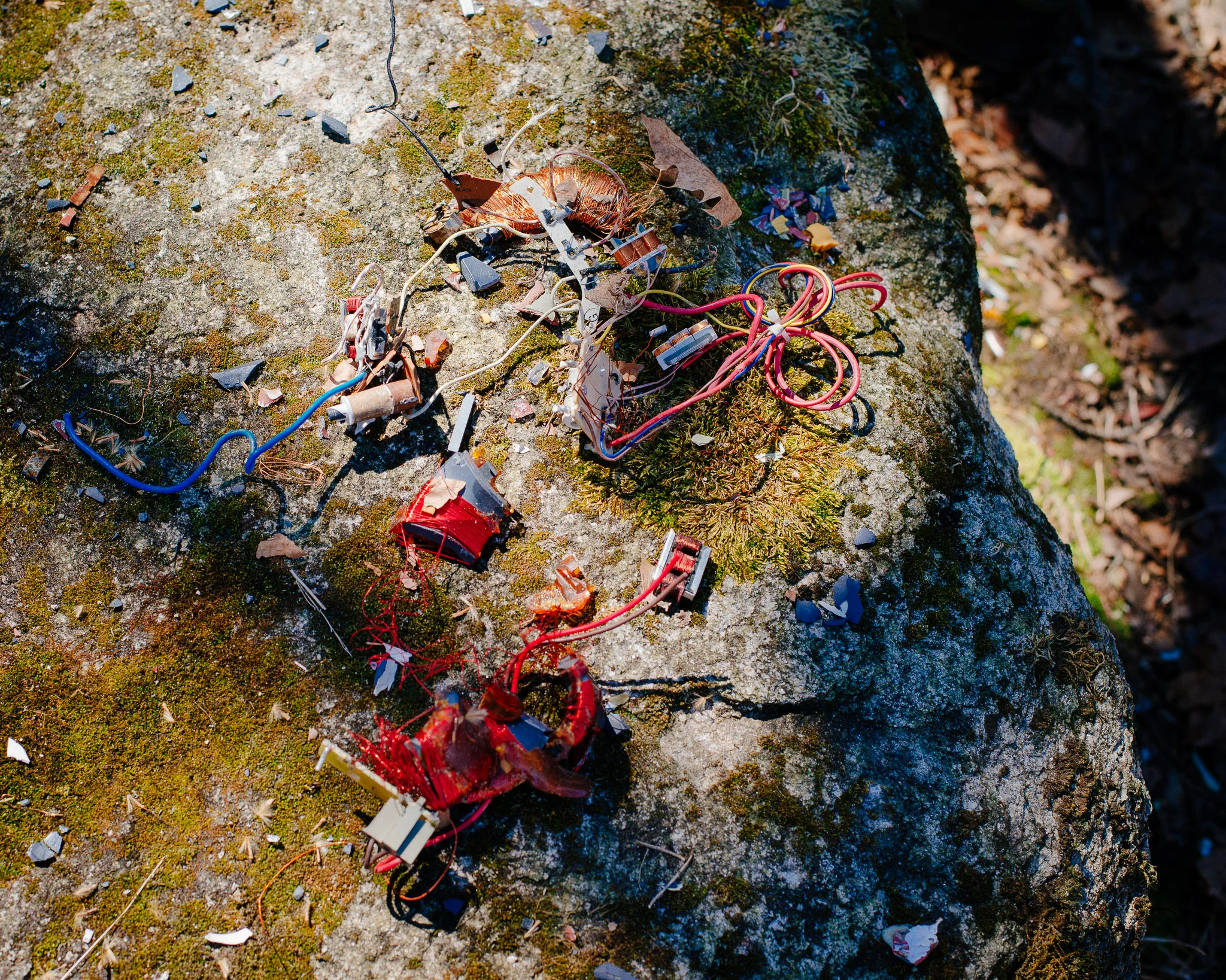 cobbscreek_march2019-14.jpg