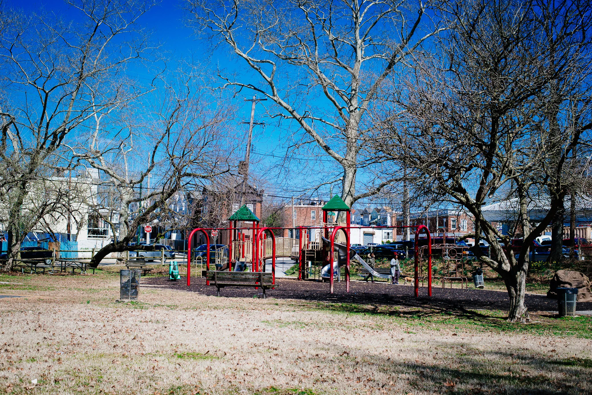 cobbscreek_march2019-22.jpg