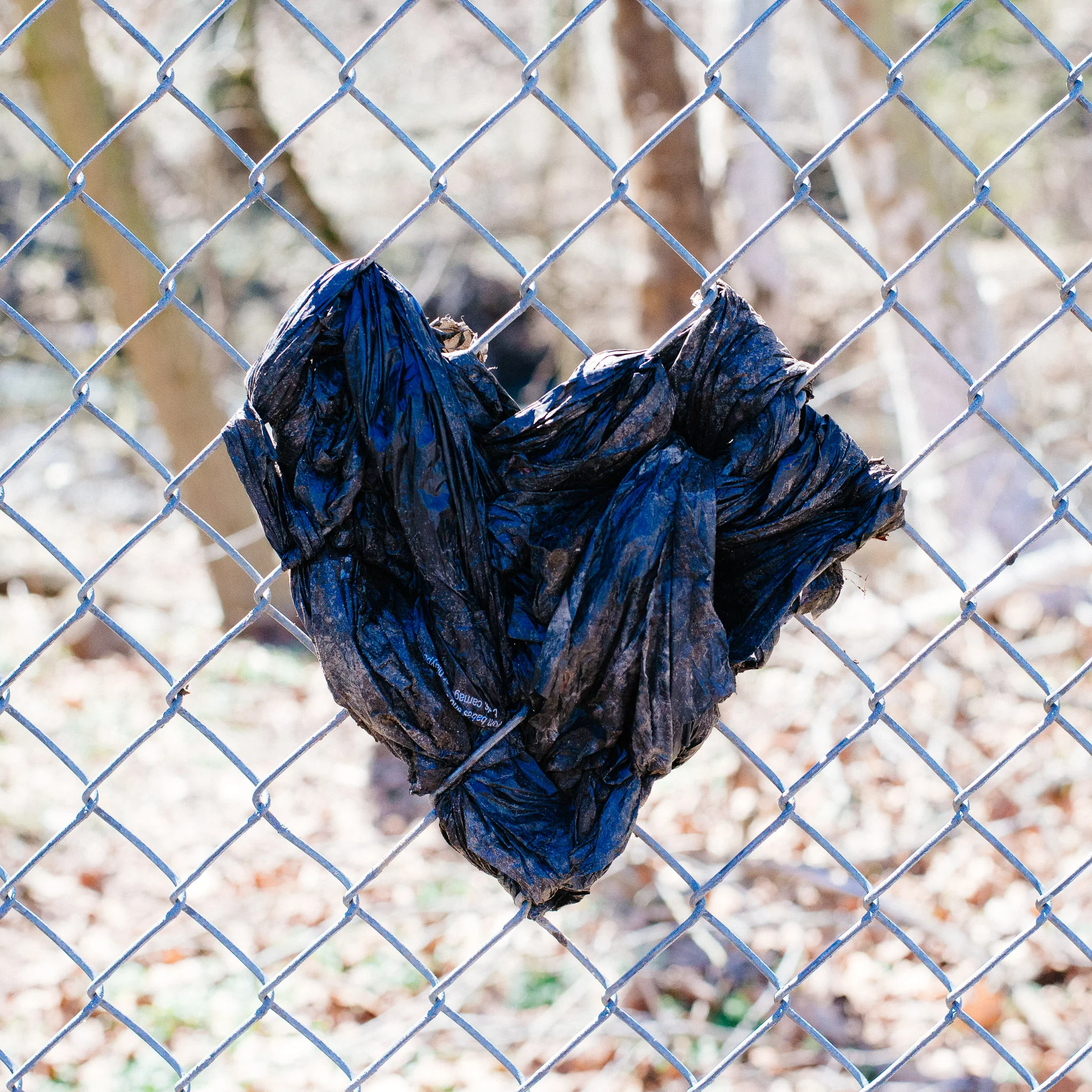 cobbscreek_march2019-26.jpg