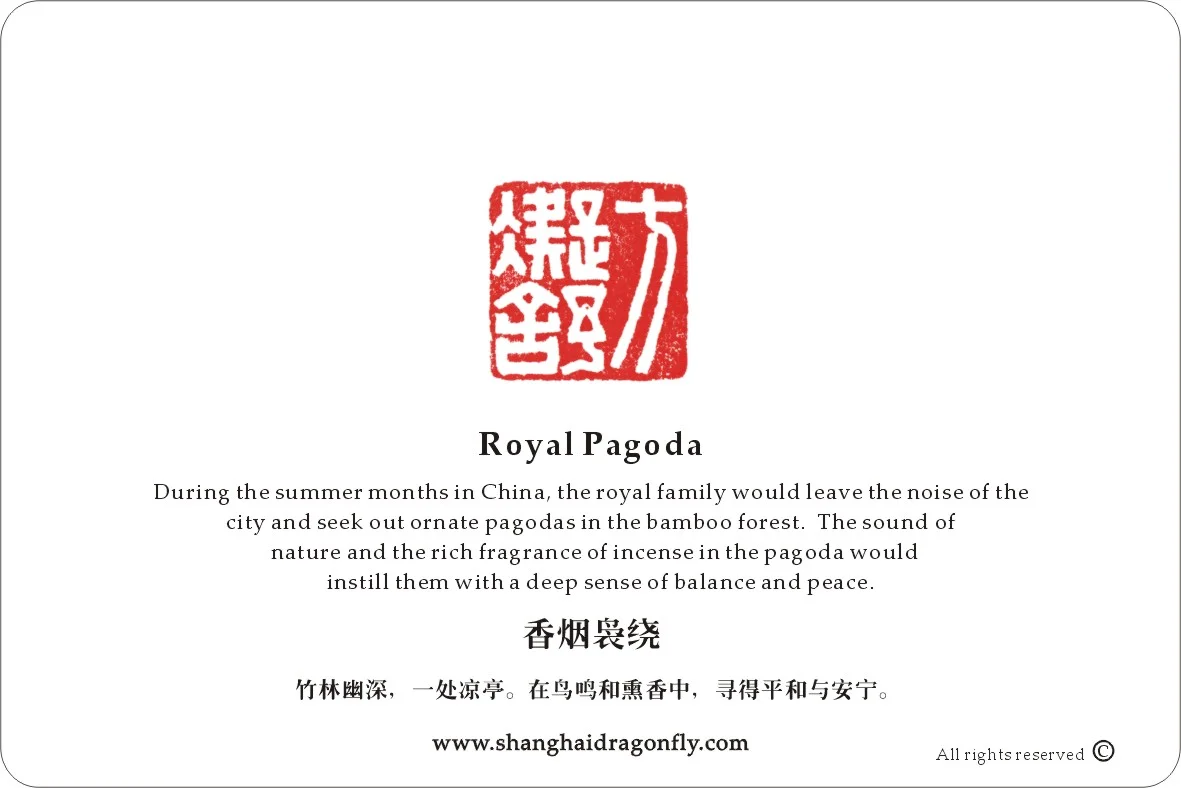 Greeting Card Back by Ningshu Fang Shanghai Dragonfly