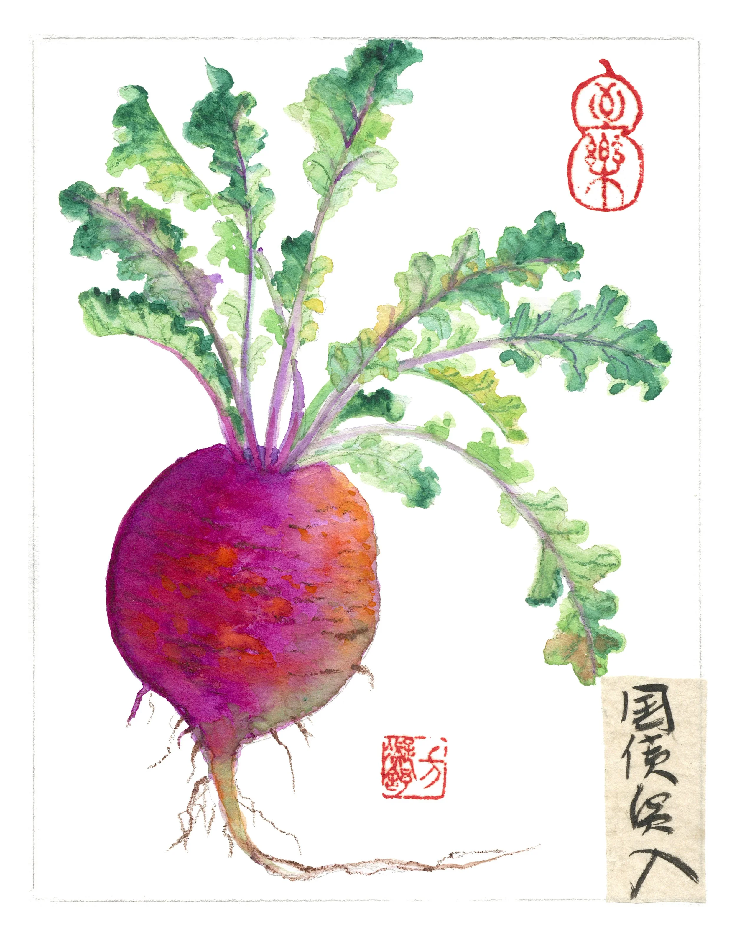 Asia America-Beet-Mini.jpg
